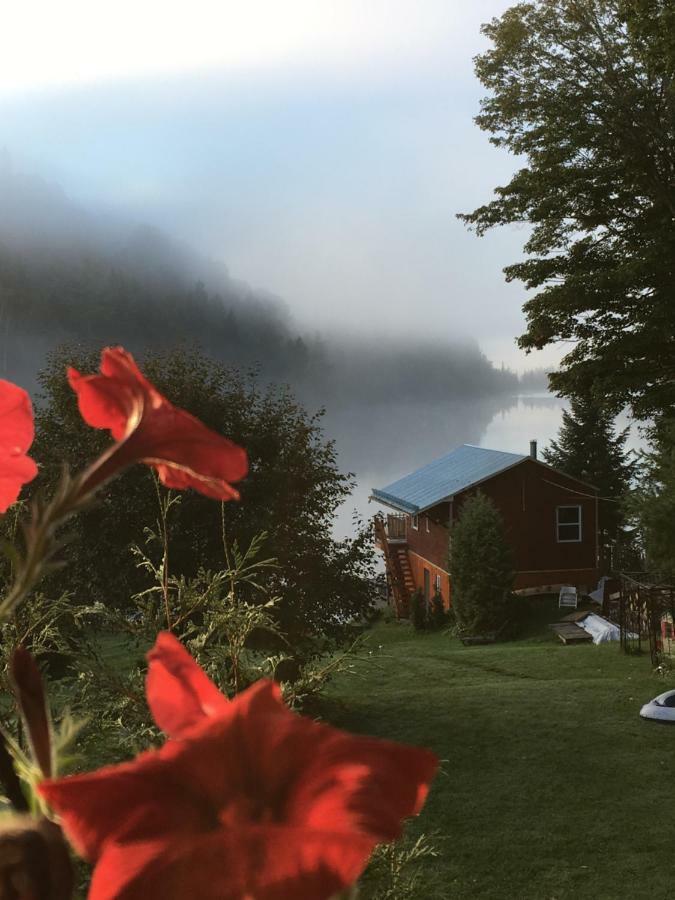 Auberge The Parker'S Lodge Inn 발다비드 외부 사진